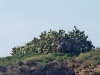 m_P8300103
