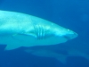 m_P9040152