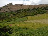 m_img-20190722-wa0043