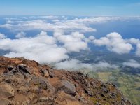 m_img-20190726-wa0027