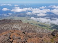 m_img-20190726-wa0031