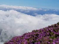 m_img-20190726-wa0044