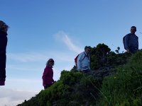 m_img-20190726-wa0049