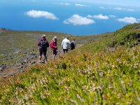 m_img-20190726-wa0060